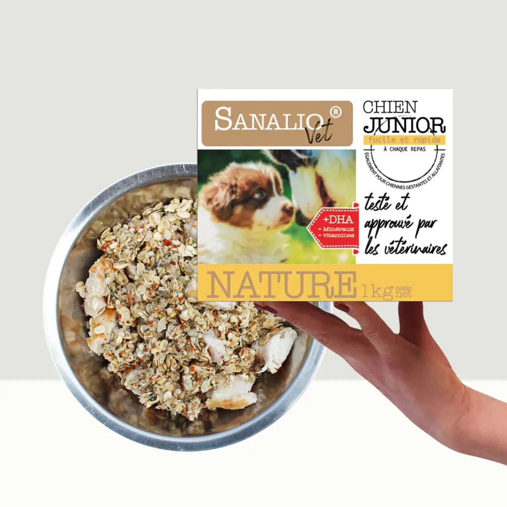 Mockup1kg Junior + poulet.webp