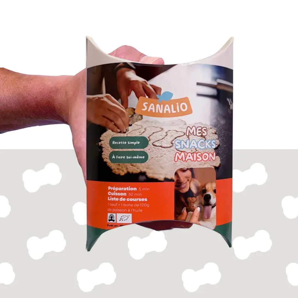 Mockup Kit Snack Général Fond Gris.webp